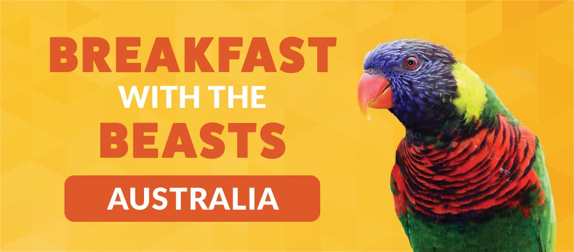 Breakfast with the Beasts: Australia