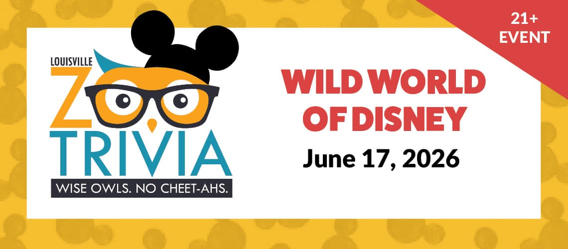 Trivia Night - Wild World of Disney - SOLD OUT